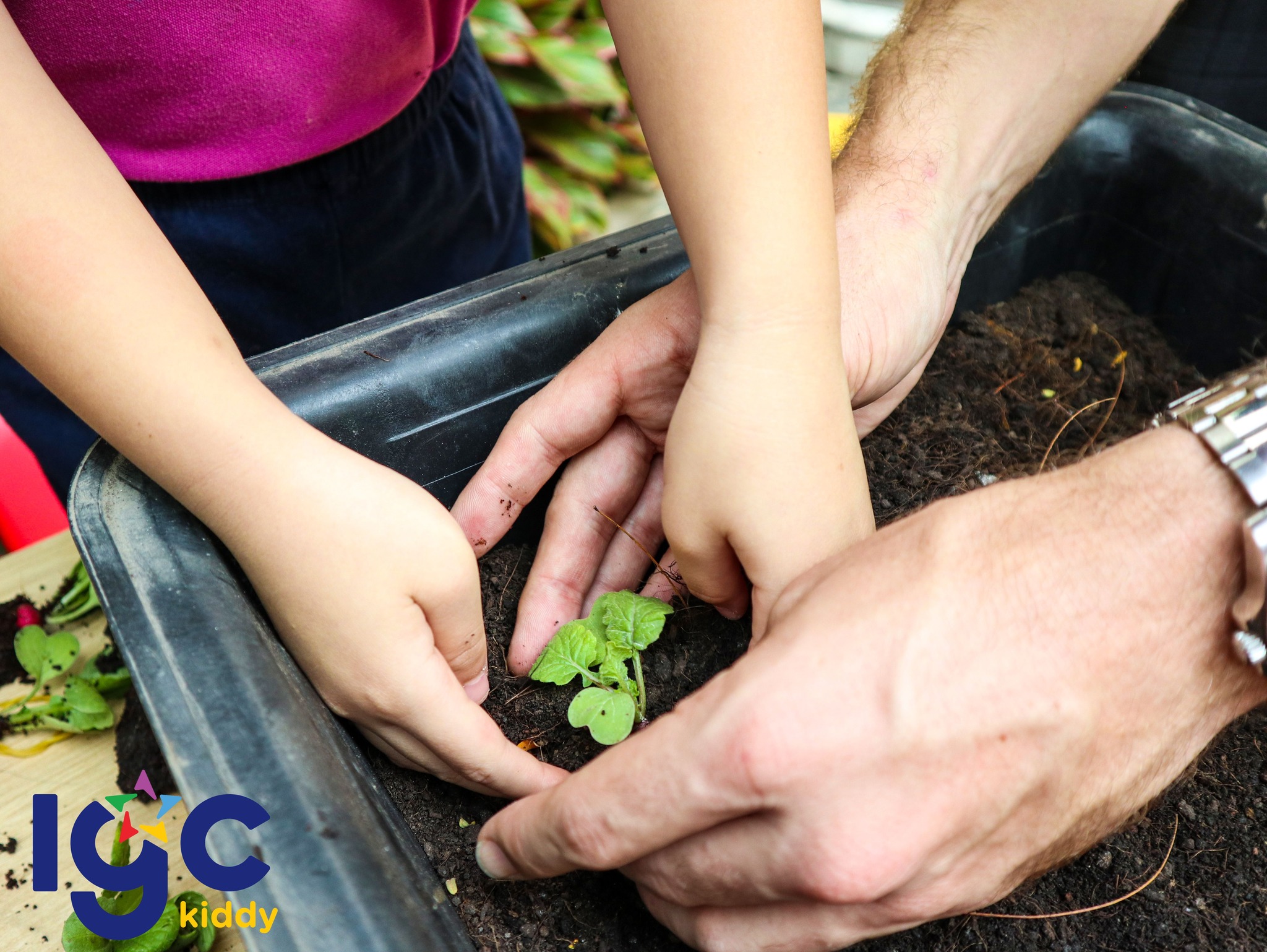 WORKSHOP "CÙNG CHUYÊN GIA TRỒNG CÂY - ƯƠM MẦM"