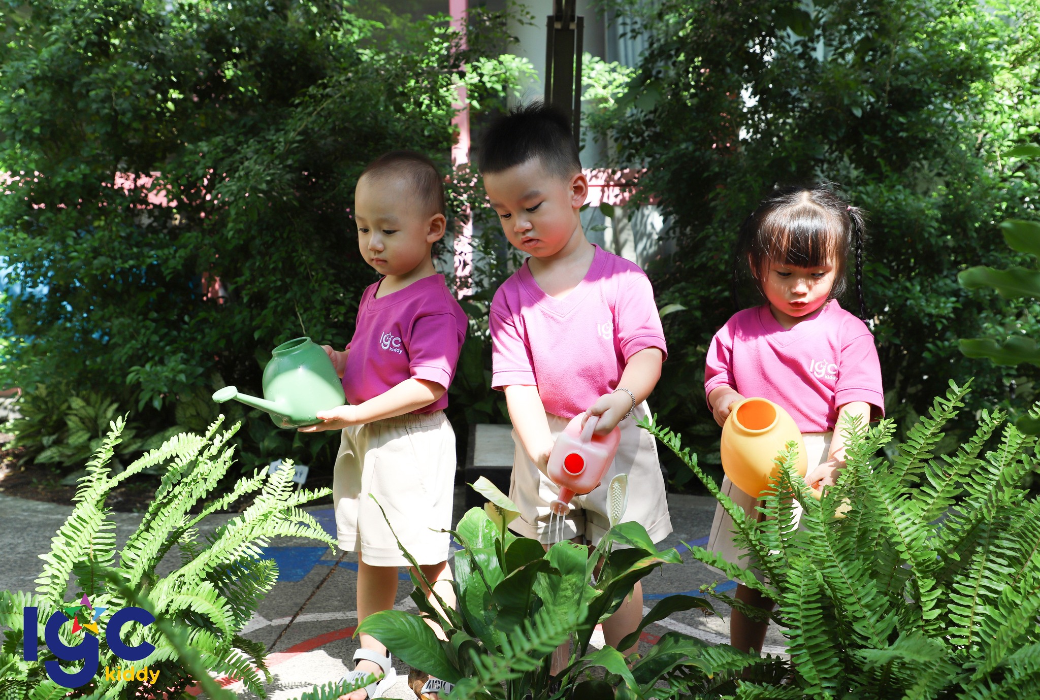 MÔI TRƯỜNG HỌC XANH - SẠCH - AN TOÀN