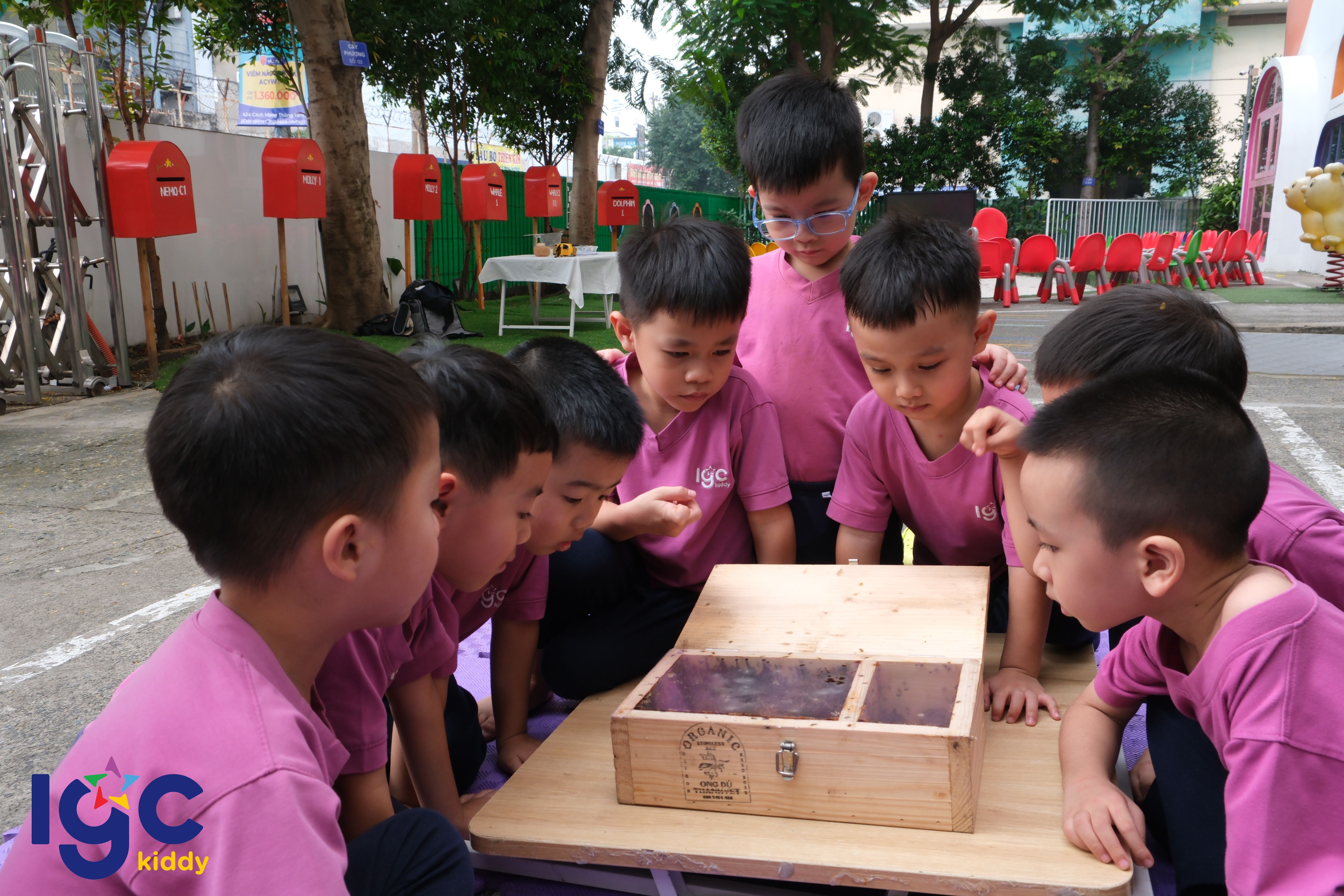 GẶP GỠ CHUYÊN GIA MẬT ONG