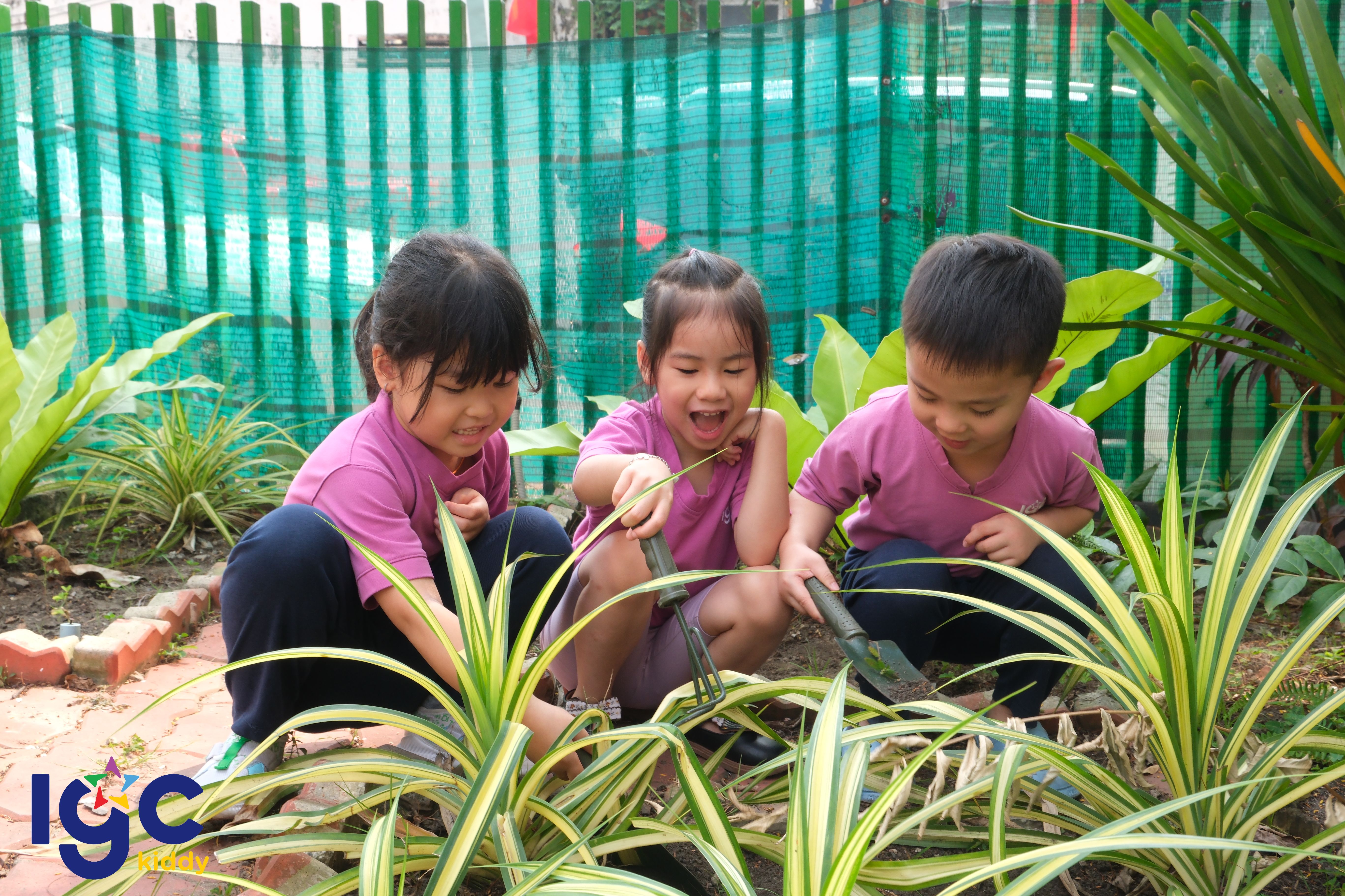 BÉ CHĂM SÓC CÂY XANH