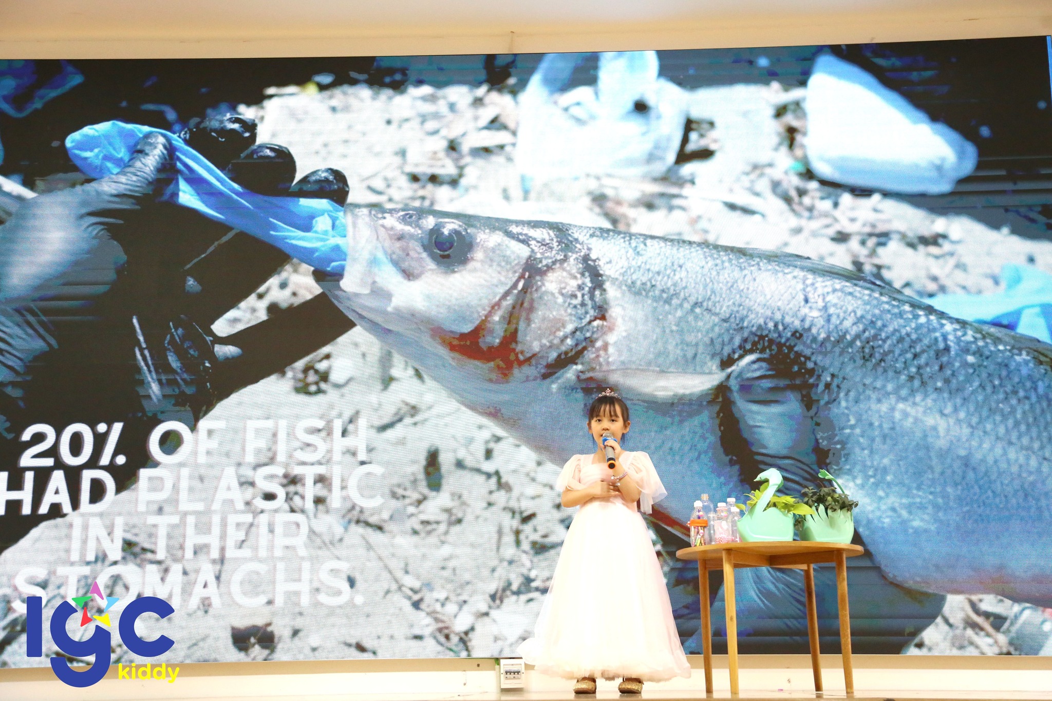 VÒNG CASTING - IGC KIDDY MASTER ENGLISH 2023