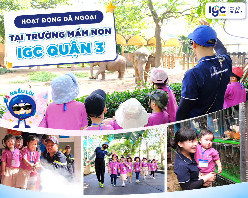 hoạt động dã ngoại tại Trường mầm non IGC Quận 3